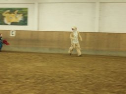 IMG_8530